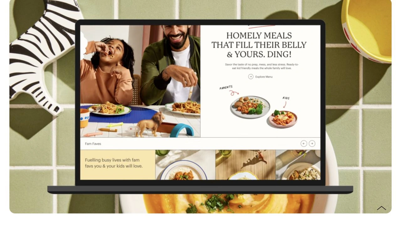 Noochy website shown in Brand Fit’s case study