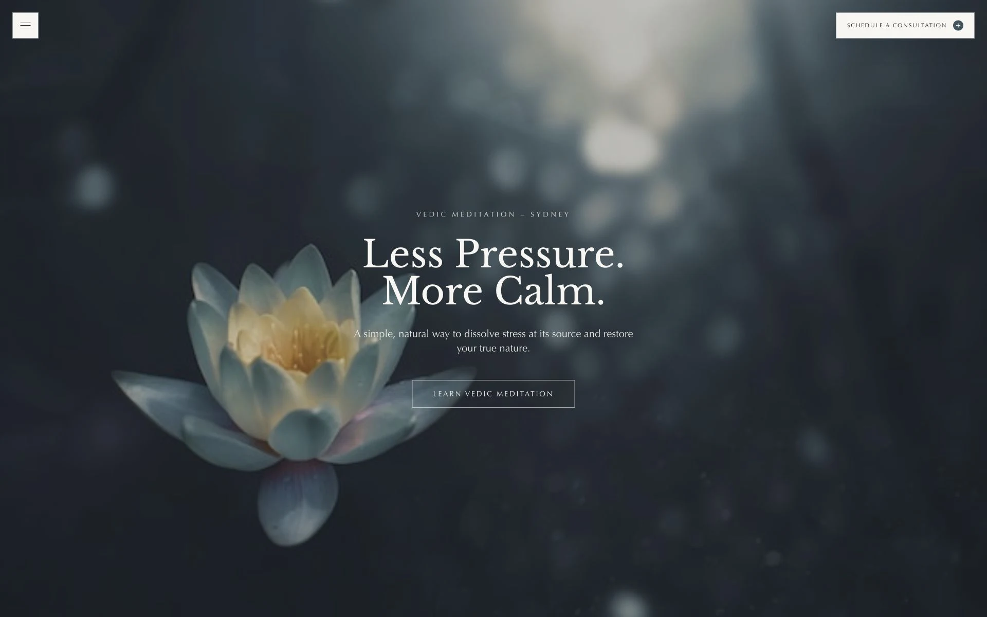 Meditate Love Life website: a lotus flower on dark blue.